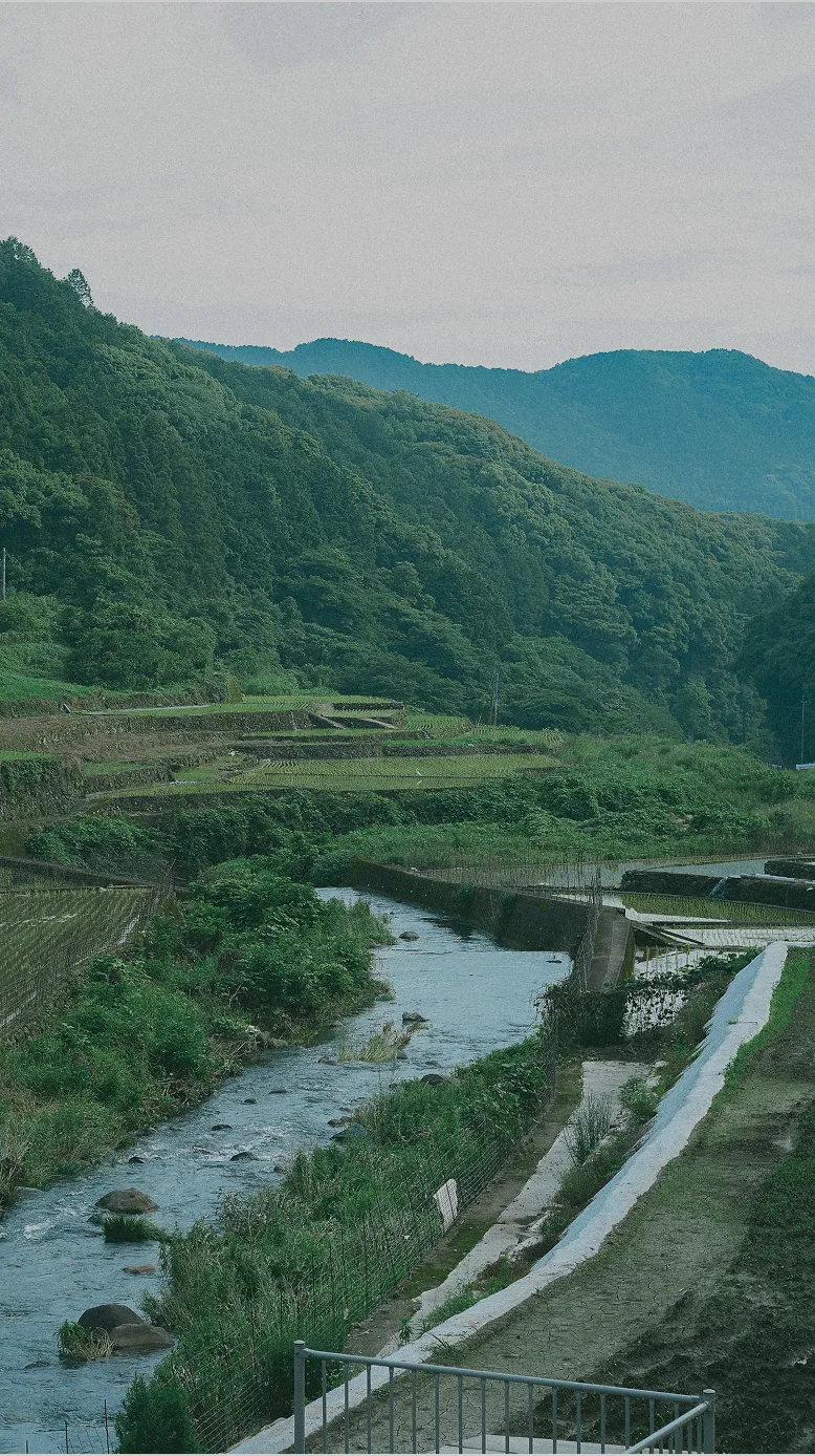 コンセプト画像