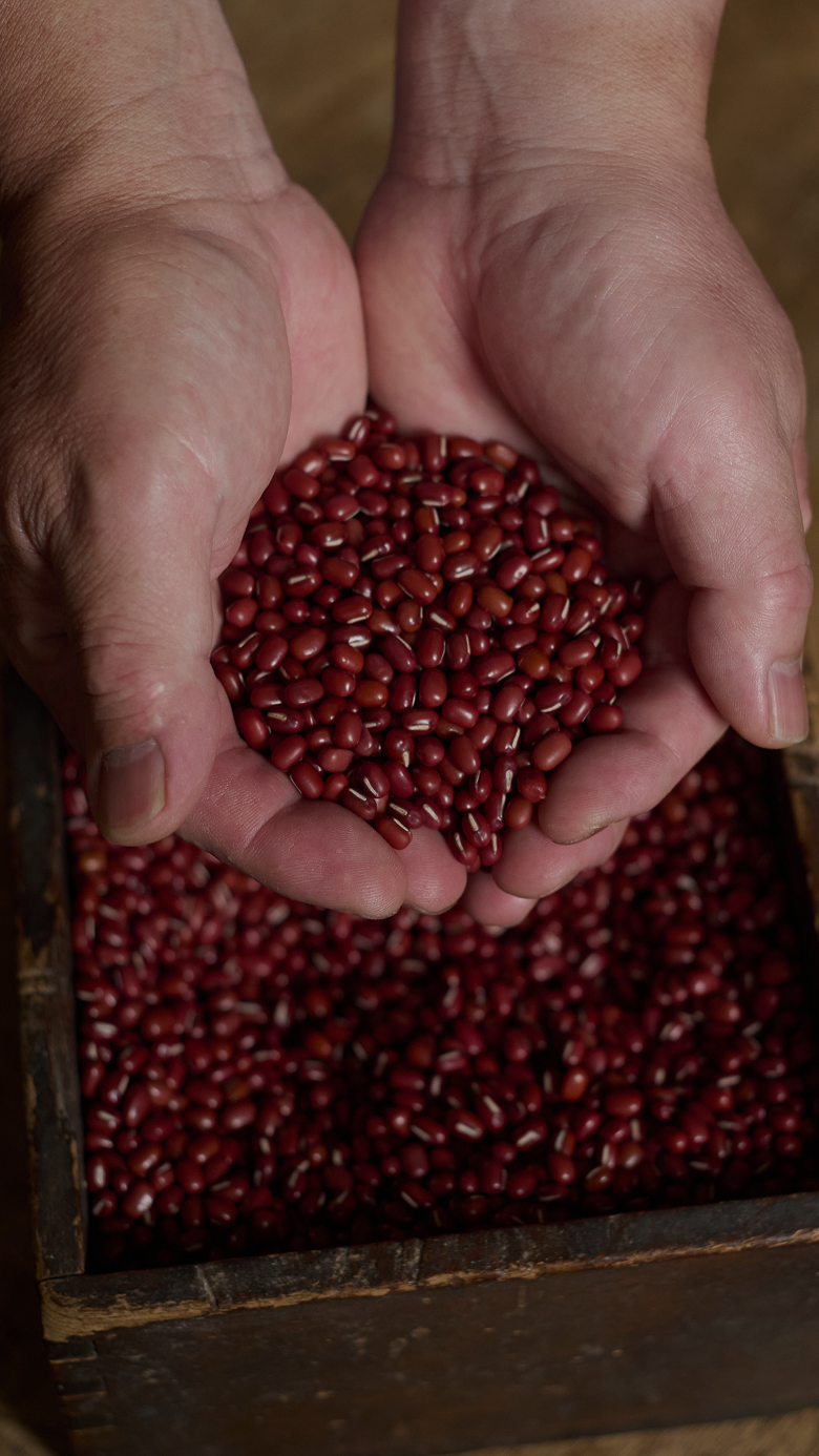 コンセプト画像